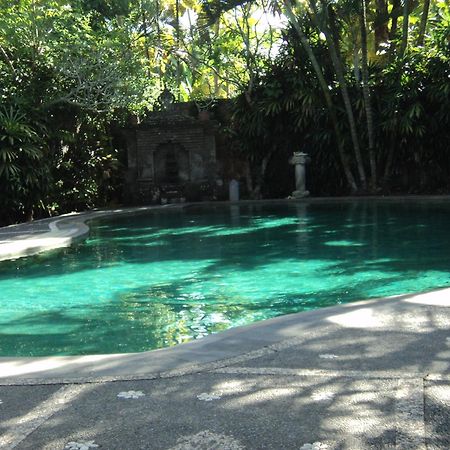 Villa Bhuana Alit Убуд Экстерьер фото