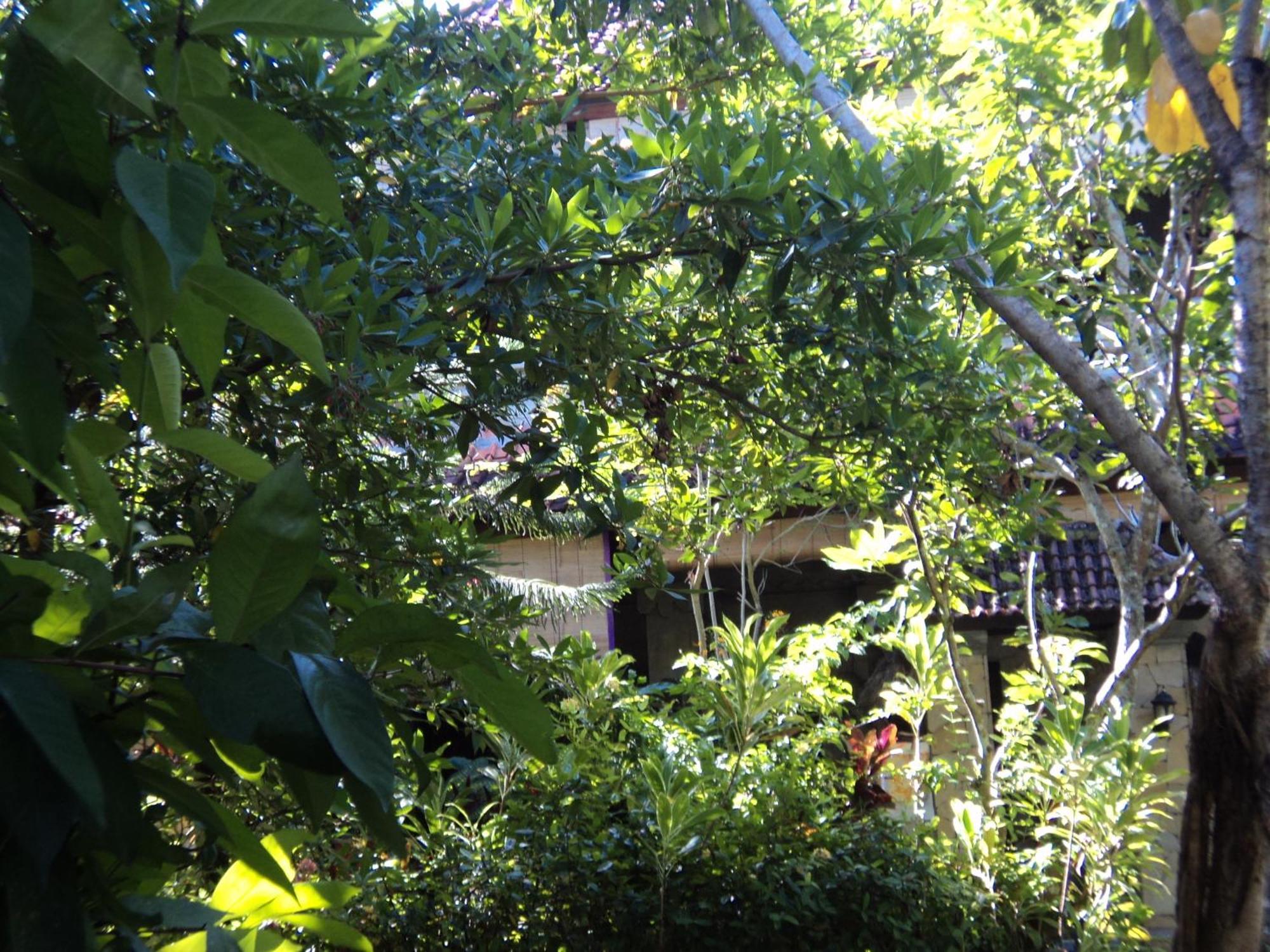 Villa Bhuana Alit Убуд Экстерьер фото