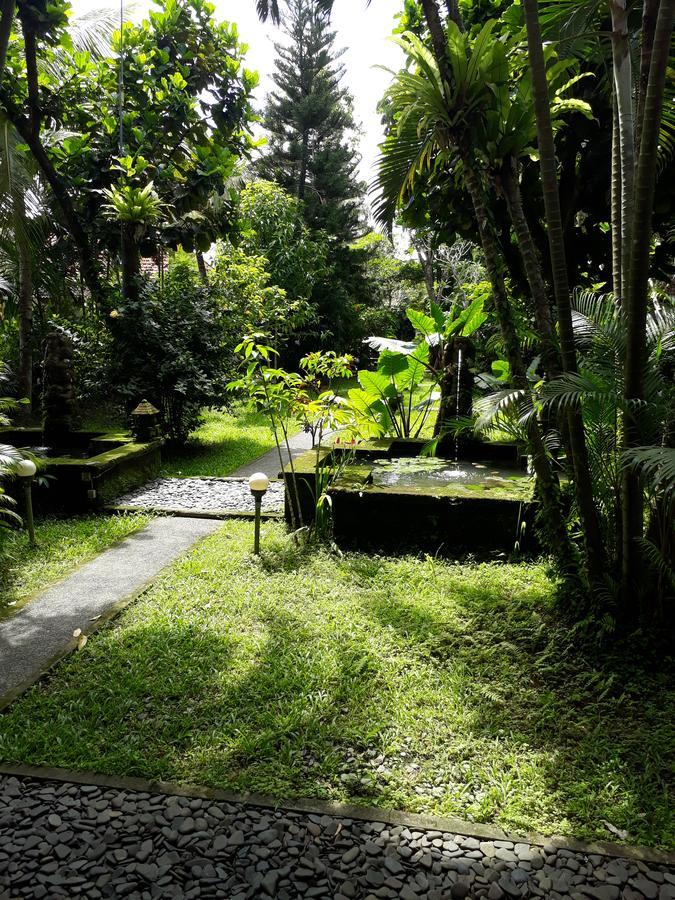 Villa Bhuana Alit Убуд Экстерьер фото